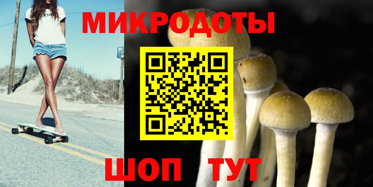 Псилоцибиновые грибы Cubensis Мариинск